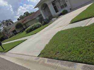 Amie B.'s turf maintenance service result
