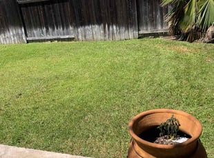 Vernon H.'s turf maintenance service result