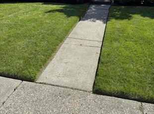Faith B.'s grass maintenance service result