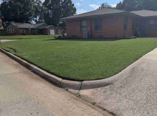 Carrie R.'s lawn care service result