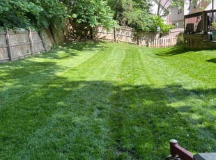 Ken C.'s lawn maintenance service result
