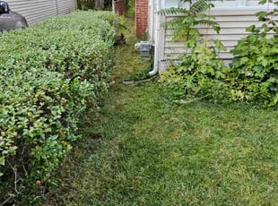 Lucas B.'s turf maintenance service result