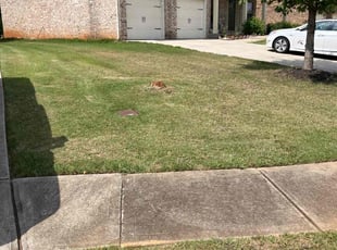 Janice F.'s turf maintenance service result