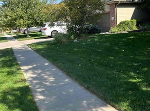 Annette E.'s lawn service service result
