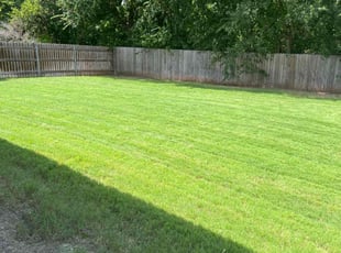Evan L.'s turf maintenance service result