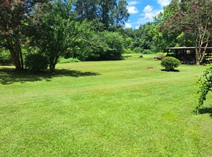 Mike H.'s lawn service service result