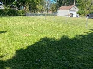 Kim W.'s lawn maintenance service result