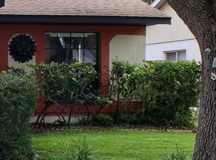 Shahzad M.'s Bush Trimming service result