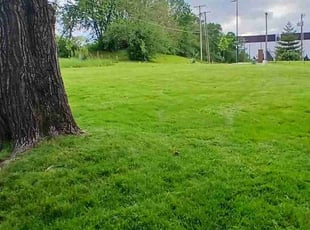 Sushant J.'s lawn care service result