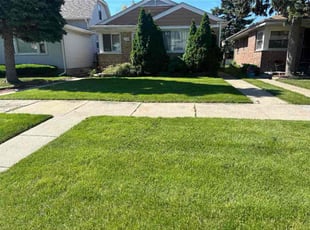 Ricquel P.'s grass cutting service result