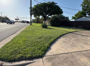 Matt D.'s lawn service service result