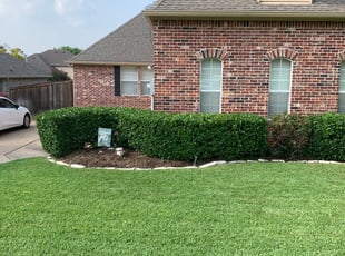 Cleusa R.'s Bush Trimming service result