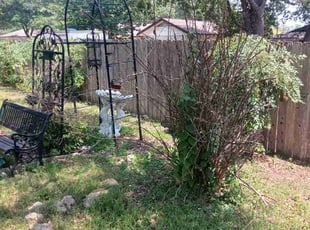 Ginger M.'s Bush Trimming service result