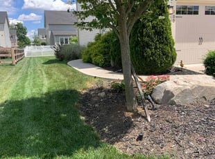 Susan B.'s turf maintenance service result