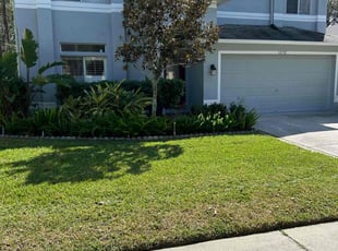 Tatsiana C.'s turf maintenance service result