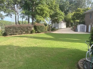 Leroy A.'s grass maintenance service result