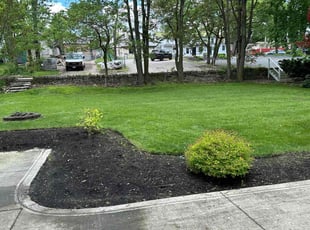 Ronald L.'s grass cutting service result