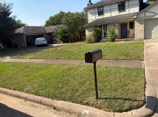 Jenice I.'s grass cutting service result