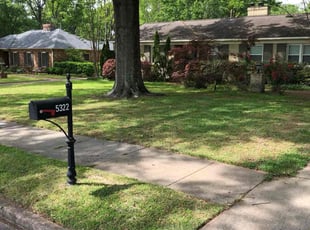 George D.'s lawn care service result