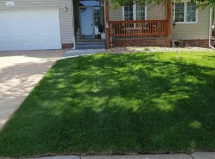 Mic L.'s turf care service result