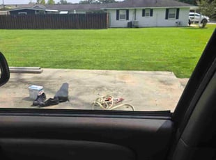 Abdul M.'s lawn care service result