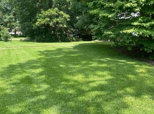 Joe C.'s turf maintenance service result