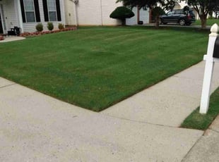Courtney B.'s grass cutting service result