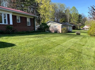 Julei B.'s grass maintenance service result