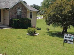 Tonia W.'s lawn maintenance service result