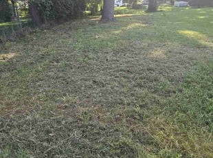 Vincent R.'s Long Grass Cleanup service result