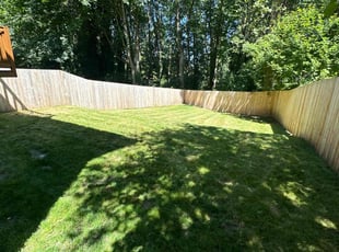 Megan Z.'s grass maintenance service result