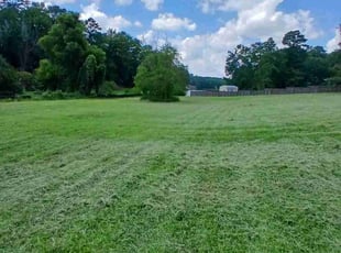 Curtis S.'s lawn maintenance service result