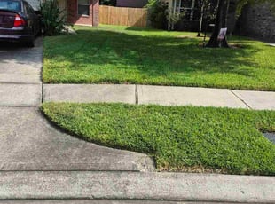 Kelly P.'s lawn service service result