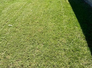 Marion M.'s lawn care services service result