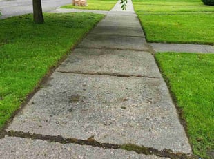 Ryan G.'s Long Grass Cleanup service result