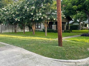 Patricia G.'s grass cutting service result