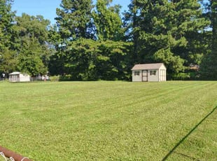 Destinee M.'s lawn care services service result