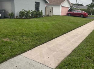 Heidi B.'s grass cutting service result