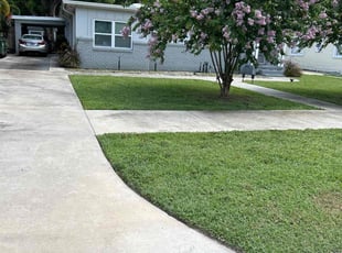 Angelique N.'s grass cutting service result