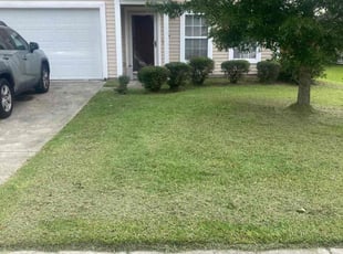 James H.'s Bush Trimming service result
