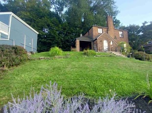 Geimy R.'s grass cutting service result