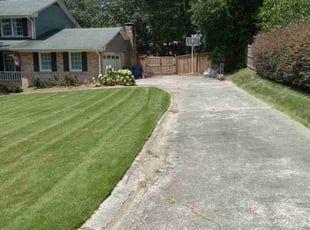 Tricia B.'s lawn care service result
