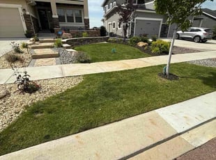 Kelsey S.'s lawn maintenance service result
