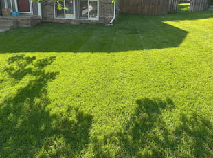 Wanda S.'s lawn care services service result