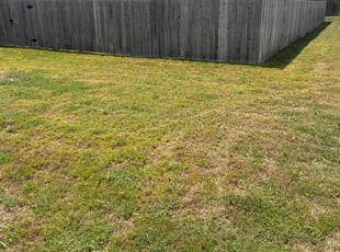 Carolyn H.'s lawn care services service result