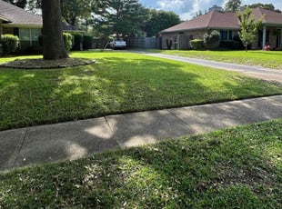 Micaela J.'s lawn service service result