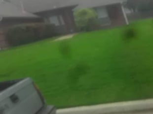 Carl F.'s Bush Trimming service result