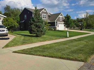 Jose A.'s grass maintenance service result