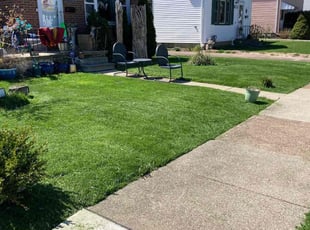 Nicole D.'s turf care service result