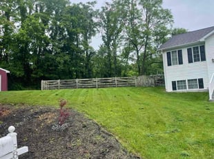 Theresa A.'s grass maintenance service result